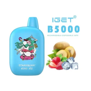 IGET B 5000 Puffs Vape