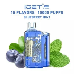 Iget Flare B 10,000 Puffs