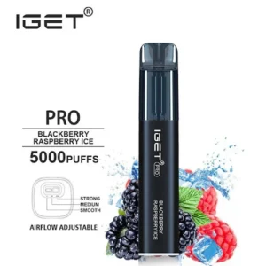 IGET Pro 5000 Puffs Vape